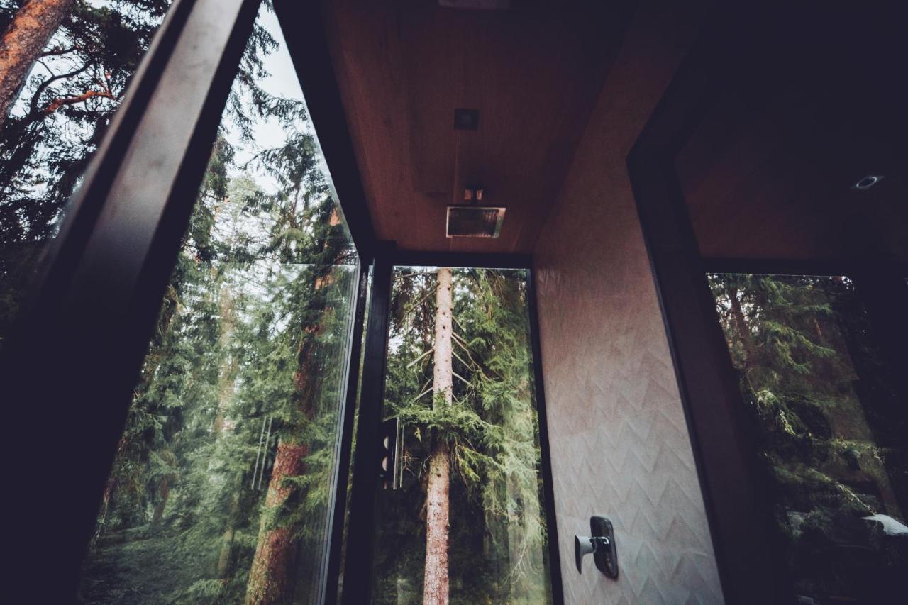 Oeoed Hoetels - With Sauna Chalet Rannamoisa
